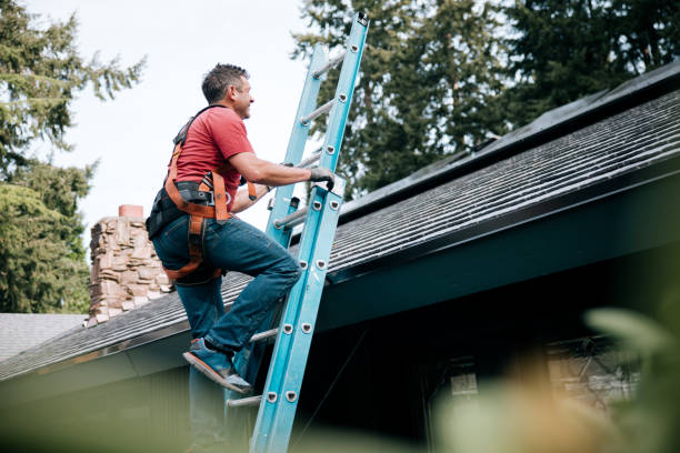 Best Roof Leak Repair  in Windsor, NC